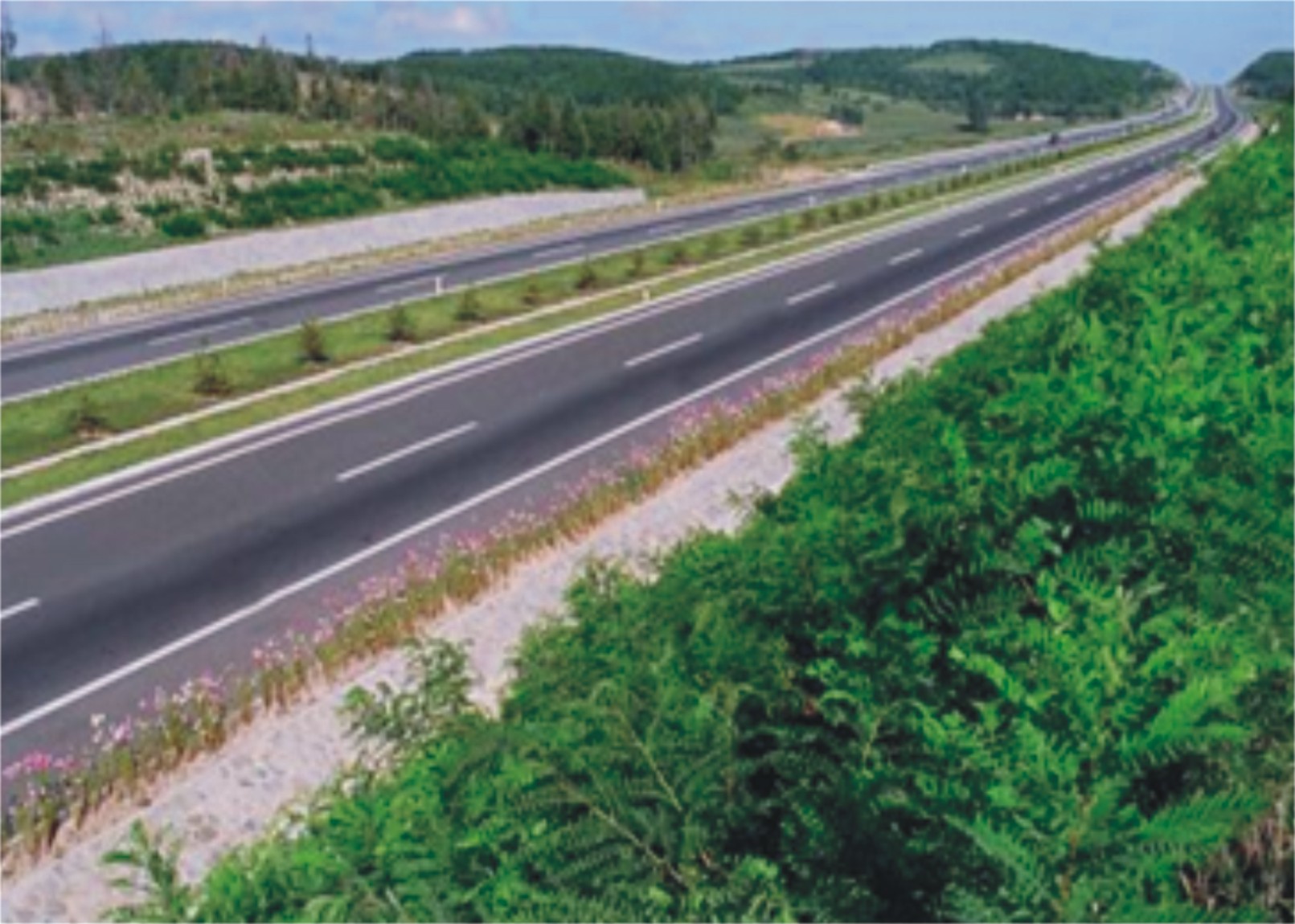 �L(zh��ng)�I(y��ng)����