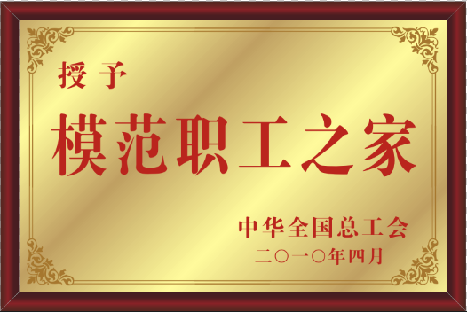 2010��ȫ��(gu��)������(hu��)ģ����֮��